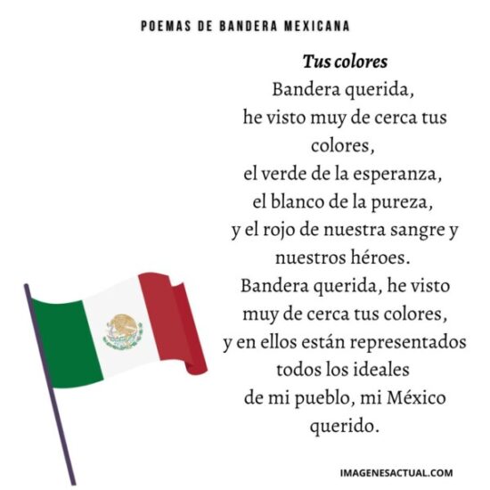 Los Mejores Poemas A La Bandera De México 